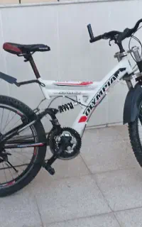 دوچرخه دست دو