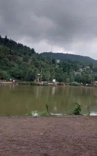بلیط استخر بانوان روزهای زوج