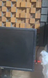 اسپیکر باند مانیتورینگ استودیویی adam t5v