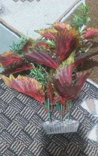 گیاه مصنوعی مخصوص آکواریوم