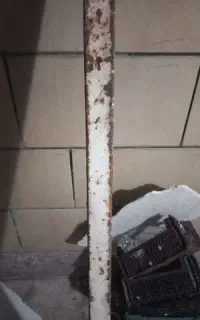 قوطی آهن