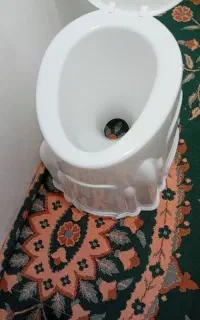 توالت فرنگی کااملا نو