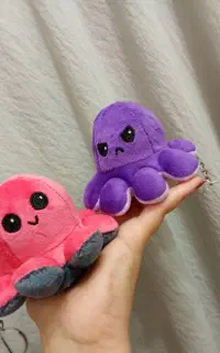 پک ها ۹۹تومنی آرایشی اکسسوری