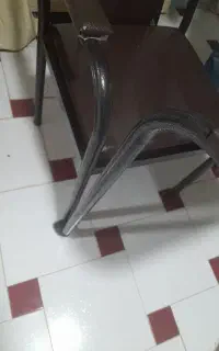 صندلی دانش آموزی