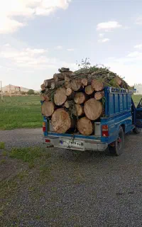 خرید چوب