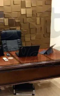 منشی خانم پاره وقت