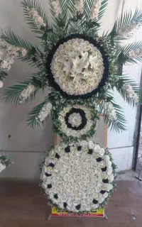 تاج گل بهشت (ارمغان سابق)