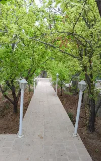 باغ اجاره ایی در مهریز