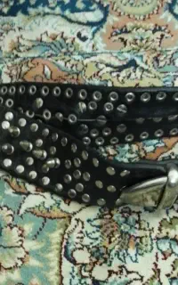 قلاده سگ