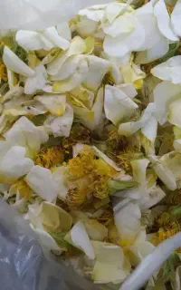 گل نسترن سه کیلو