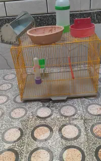 قفس و دانه خوری ا بخوری
