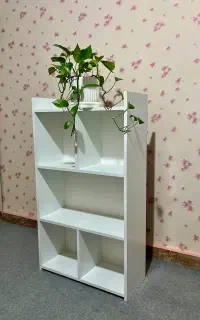 کتابخانه و استند گل