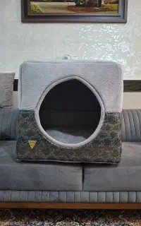 کلبه یا لانه سگ