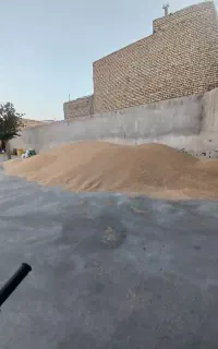 خرید و فروش گندم. جو بومی. گندم مناسب نان