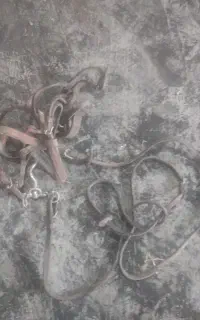 کله گیر ،جلو اسب و زنجیر سگ