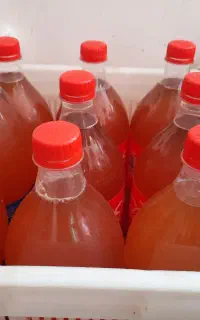 آبغوره تازه امسال