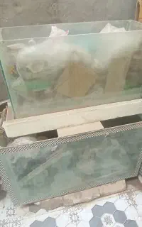 آکواریوم