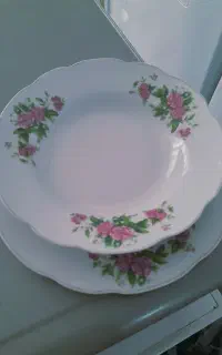 چینی و توستر