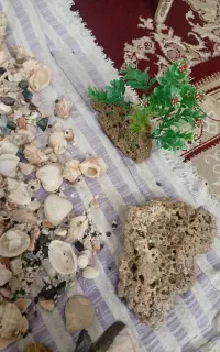 پمپ هوا اکواریوم با سنگ سخره