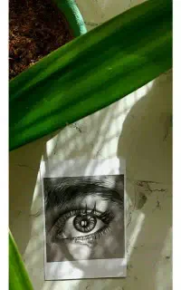 سفارش سیاه قلم
