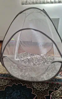 پشه بند
