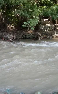 سفر شمال