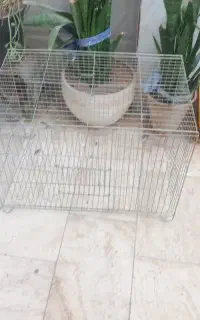 قفس
