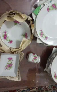 سرویس گل سرخ