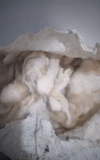 پشم گوسفند