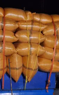 فروش کاه کاه گلرنگ درجه یک