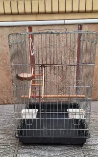 قفس کاسکو جنس محکم