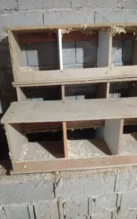 جای مرغ تخم گذار سالم و نو شش تایی