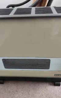 بخاری نیک کالا