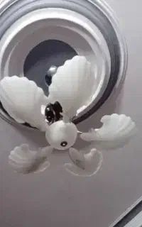 ۲ عدد لوستر مدل صدف