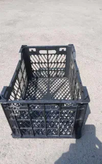 سبد
