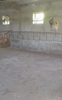 شراکت