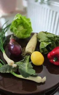 میوه پلاستیکی تزئینی