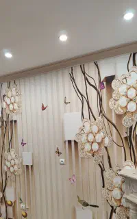 نصب و تعمیر کاغذ دیواری و پوستر