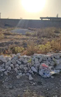 زمین گاوداری باغ کارگاه گلخونه