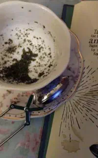 سرکتاب ۱۰۰درصد قوی