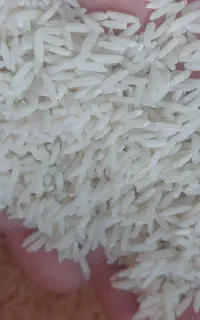 نیاز به سرمایه