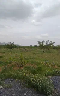 استخدام نیرو برای باغبانی و خدمات باغ ۳ هکتاری