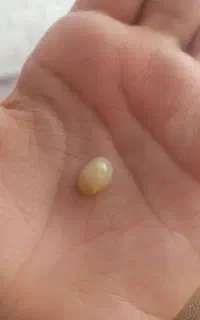 سنگ اوپال اصلی