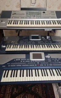 ارگ پیا۸۰۰پیا۲پیا۵۰ درحداک