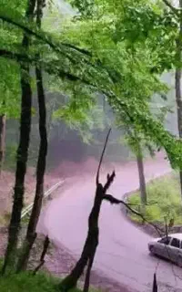 سفر