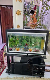 اکواریوم سالم