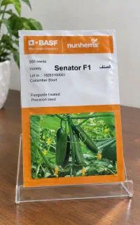 سناتور تاریخ جدید شرکتی