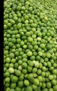 مقدار ۱۵۰ کیلو لیمو پر آب
