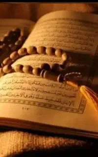 فال، سرکتاب،تاروت..