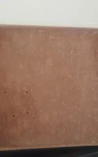 لانه طوطی عروس هلندی بزرگ تمیز سالم